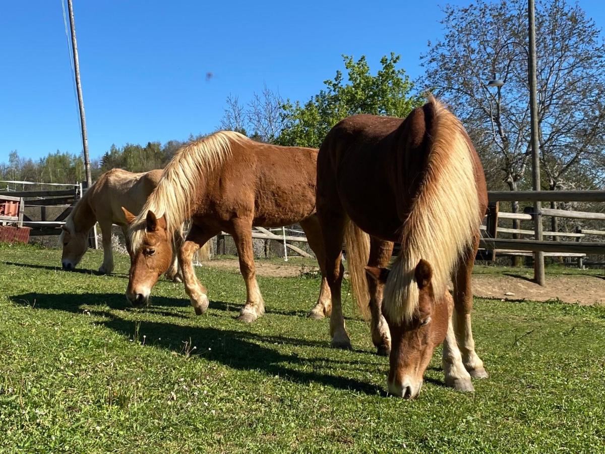 Ranch Enbruca Apartment Boves Bagian luar foto